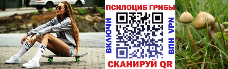 Псилоцибиновые грибы GOLDEN TEACHER  Краснокаменск 